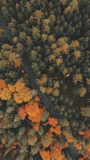 红料吃瓜反差截图3