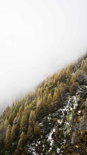 黑料不打烊在线截图1