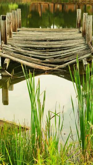 哈密瓜的籽可以吃吗截图4