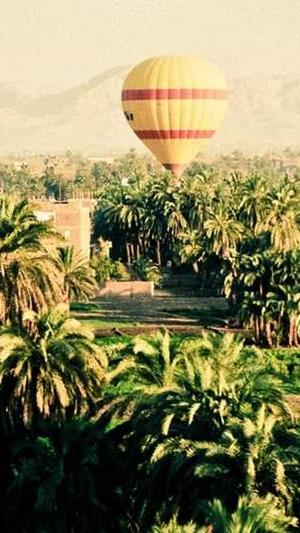 蔡徐坤黑料截图1