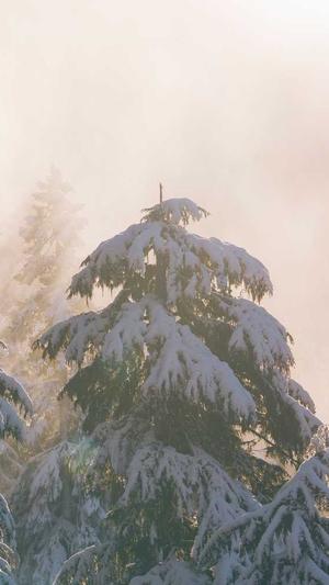 扒爷娱乐圈黑料截图3