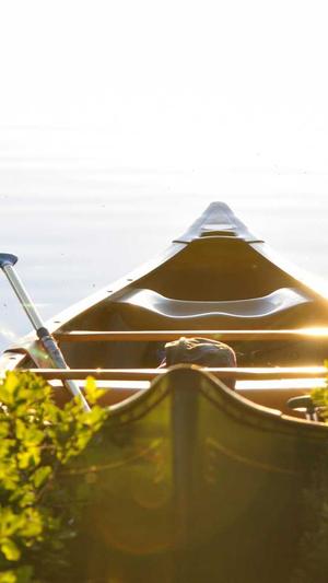 哈密瓜怀孕可以吃吗截图3