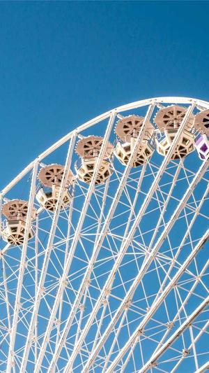 周黑鸭卤料配方截图1