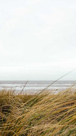 黑料不打烊直达导航截图2