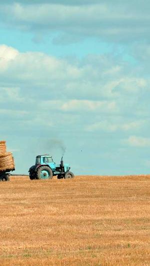 吃瓜观众的出处截图1