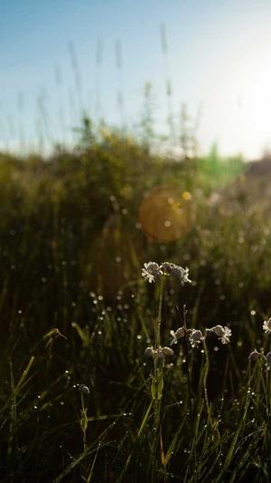 51黑料吃瓜网在线截图4