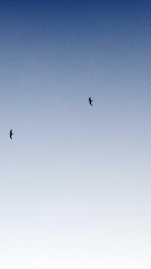 豆瓣吃瓜组截图1