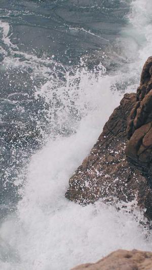 大白在吃瓜截图1