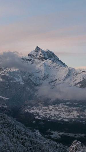 刘德华黑料截图1