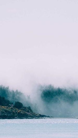 51热门大瓜黑料截图4