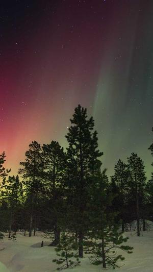 黑料社网站截图1