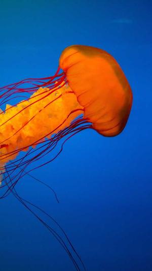 刘德华黑料截图4