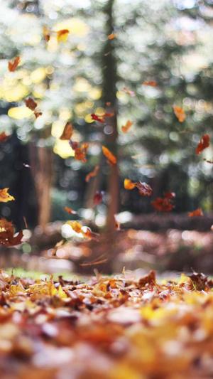 国产吃瓜黑料截图3