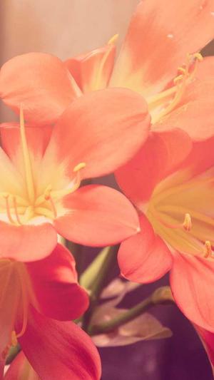 黑料不打烊2022截图1