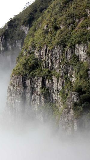 91黑料在线截图2