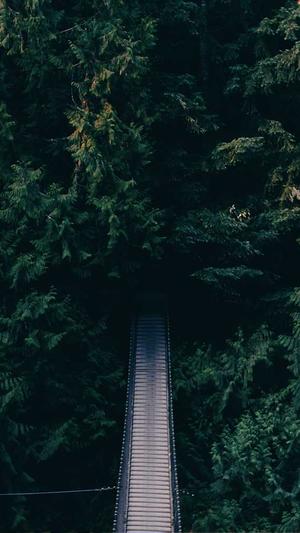 51吃瓜爆料2023截图3