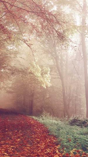 聚众吃瓜微博超话截图2