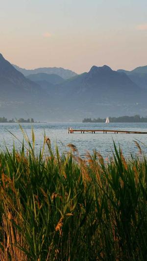 蒲熠星黑料截图4