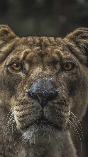 每日吃瓜黑料截图4