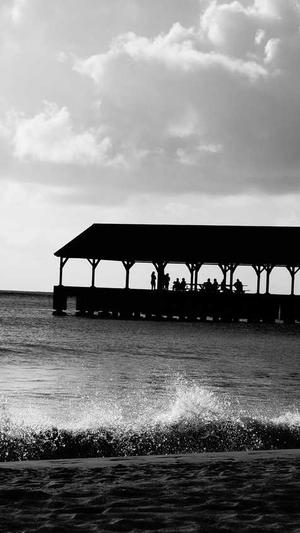 怀孕初期可以吃凉瓜吗截图3