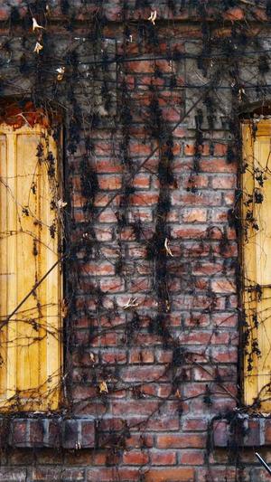 金智妮黑料截图1