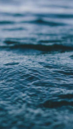 黑料女神攻略截图4