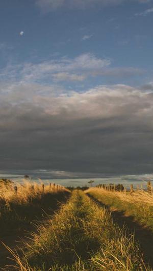 黑料不打烊网址换了吗截图1