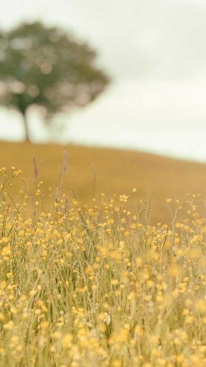 黑料不打烊直达导航截图4