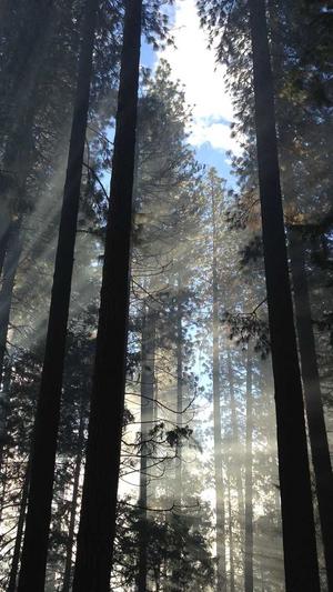 bej48黄宣绮黑料截图2