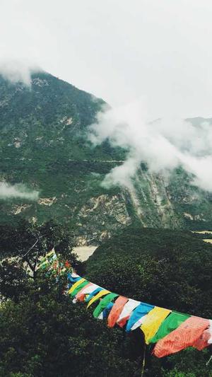 项思醒吃瓜后续截图2