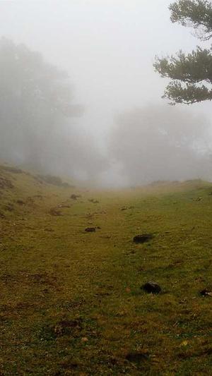 黑料正传送门截图3