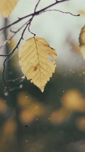 不打烊黑料截图1